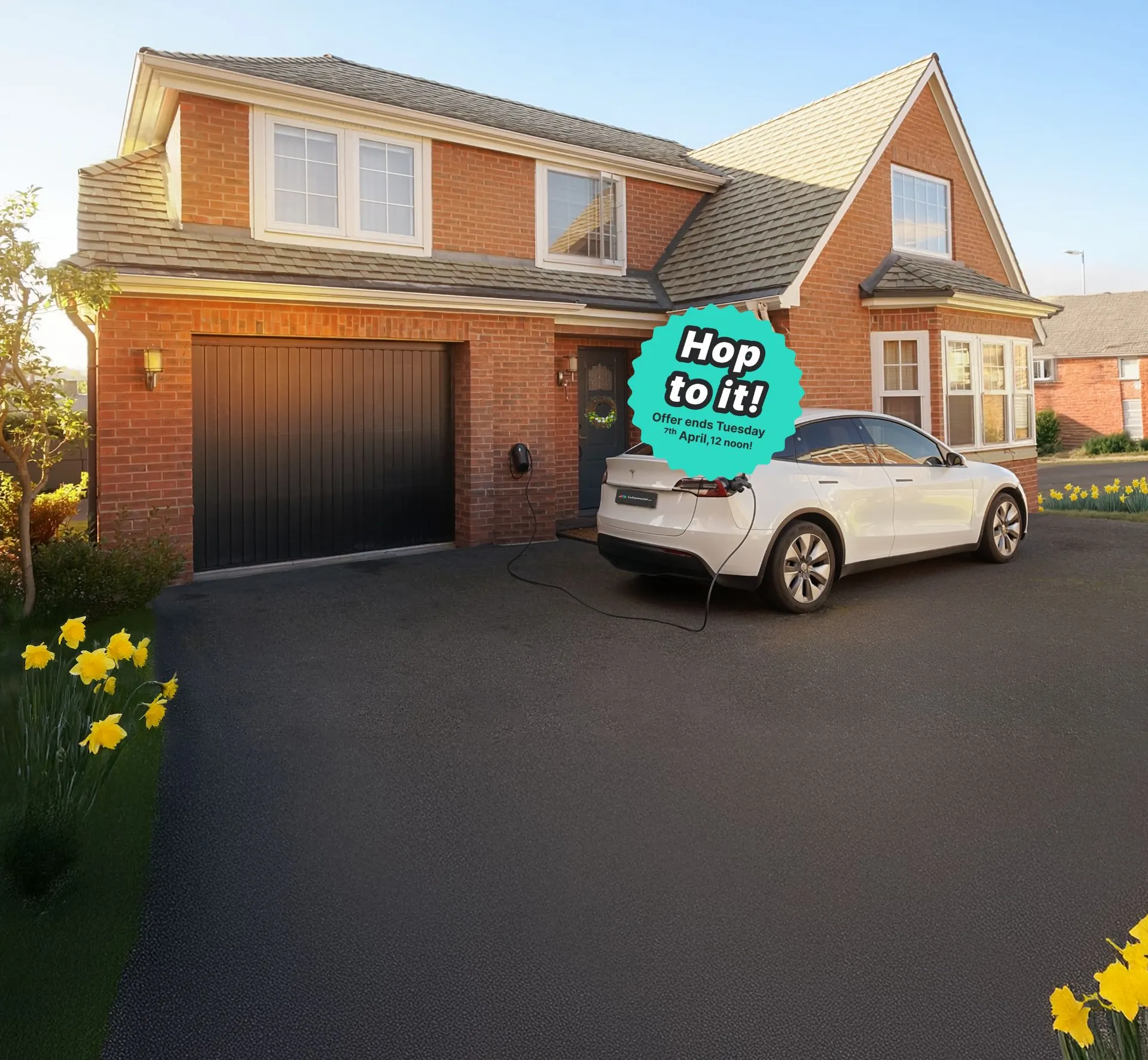 Image representing the content